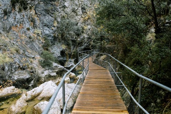 Quels sont les meilleurs circuits pour une randonnée dans les montagnes d'Oman : conseils et préparations ?